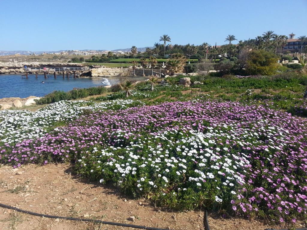 Faros Beach Paphos Luaran gambar